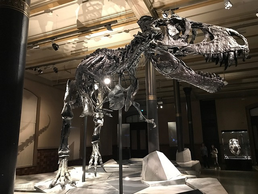 Naturmuseum